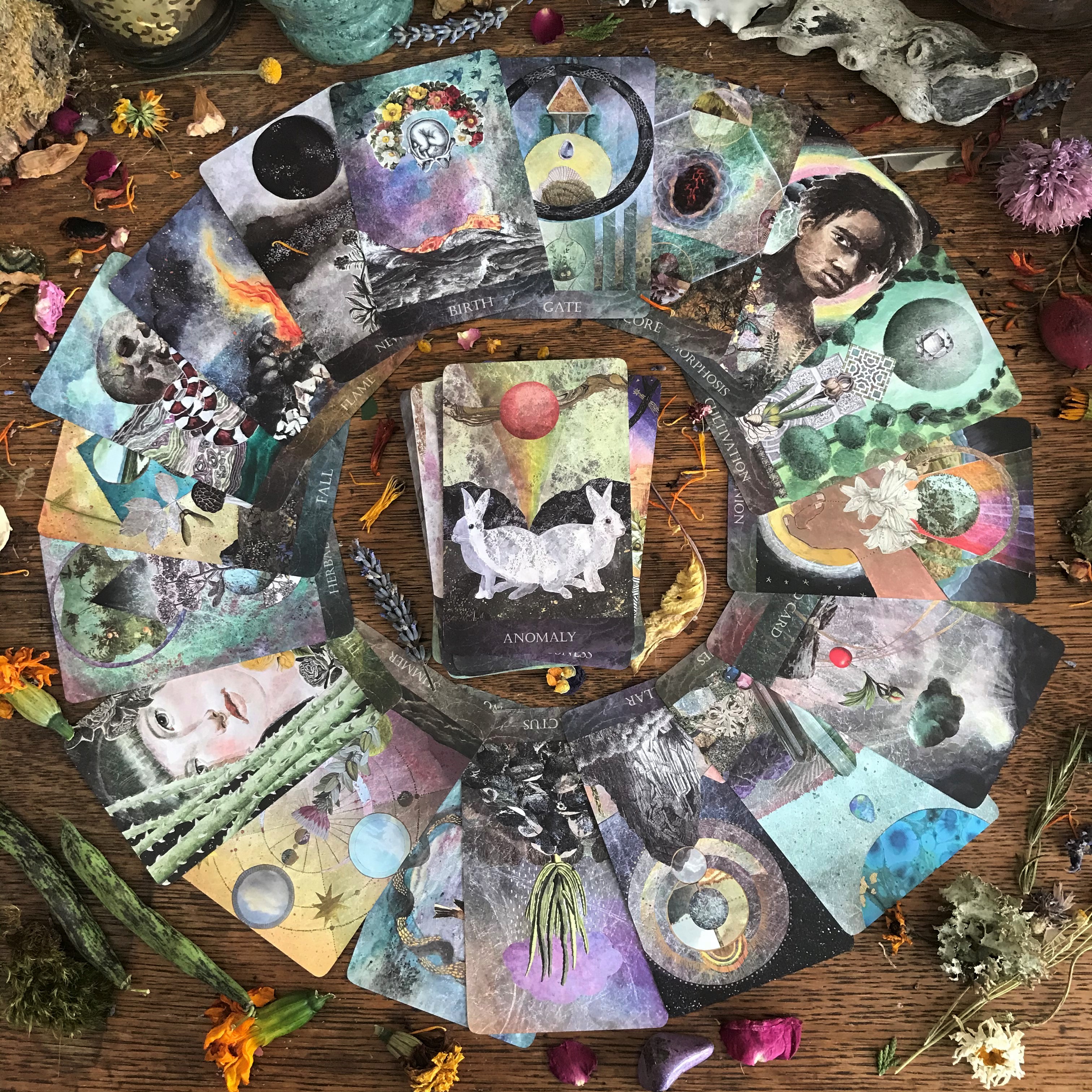 The Faceted Garden Oracle | Claire Mack Fine Arts