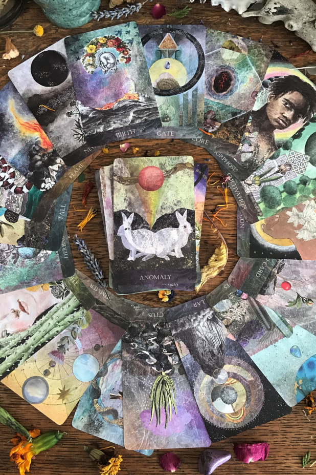 未開封　新品the faceted garden oracle 正規品 The Faceted Garden Oracle | Claire Mack Fine Arts