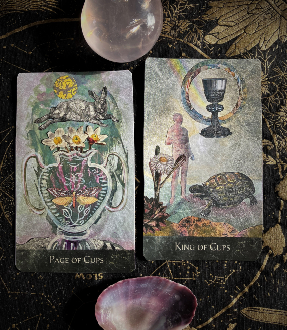 The Page of Cups and King of Cups