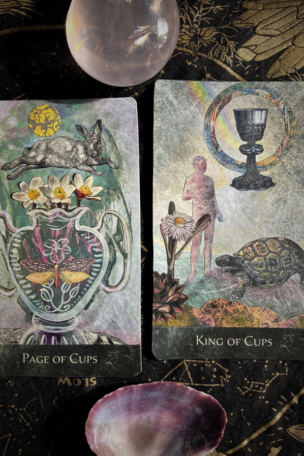 The RainShadow Tarot The Page of Cups and King of Cups