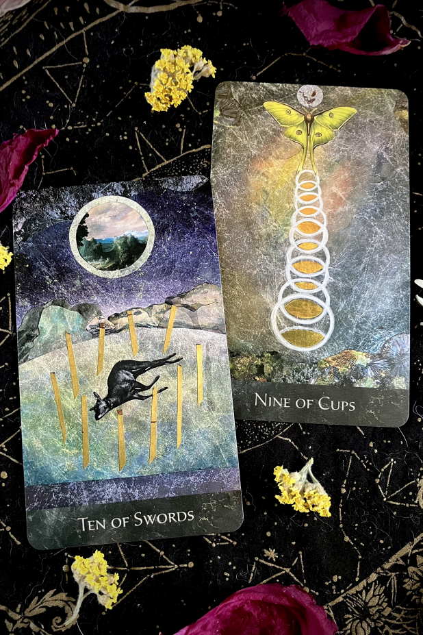The RainShadow Tarot Ten of Swords and Nine of Cups