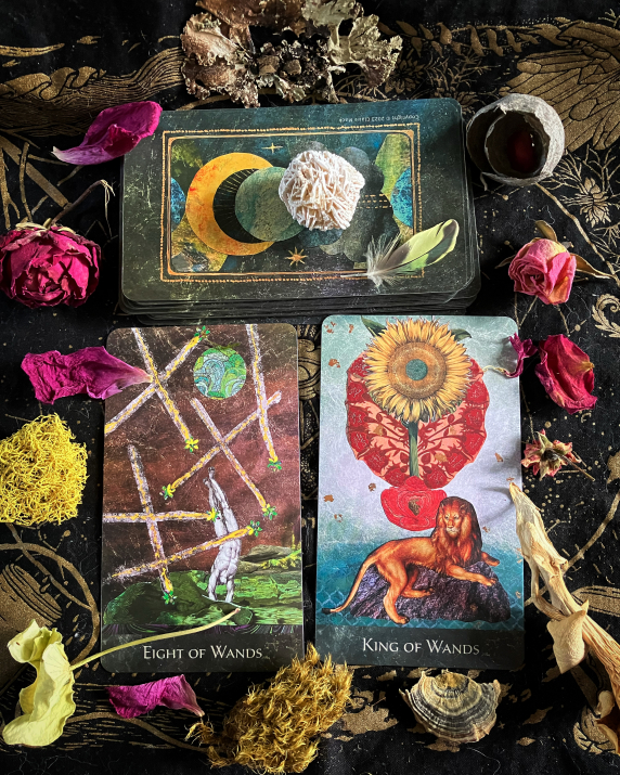 Eight of Wands and King of Wands