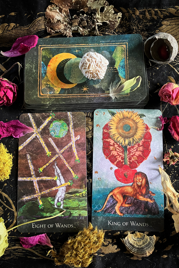 The RainShadow Tarot Eight of Wands and King of Wands
