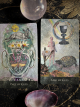 The RainShadow Tarot The Page of Cups and King of Cups