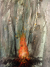 Combustion fire_f.jpg